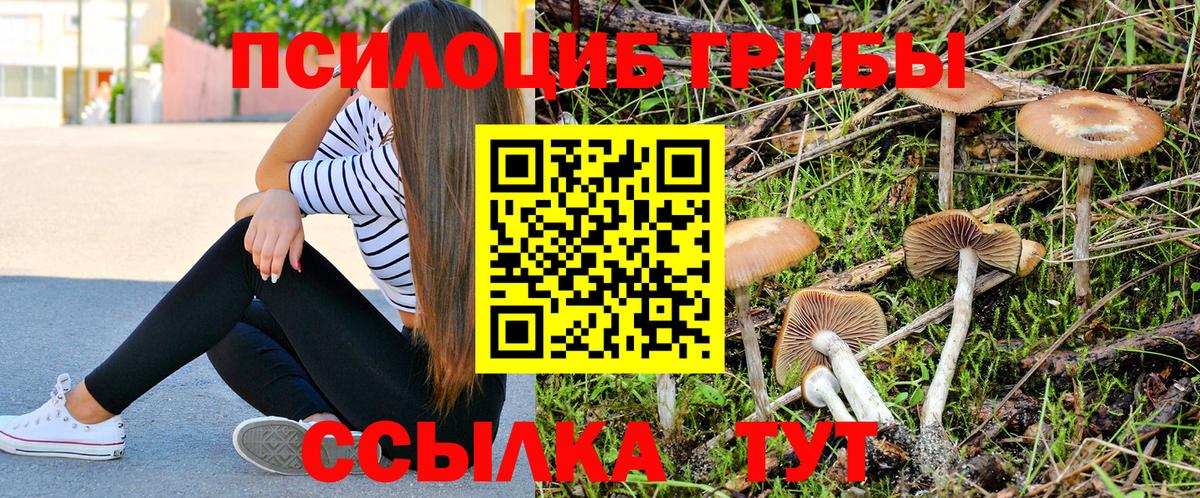 Слободской  Галлюциногенные грибы Cubensis  Вход с VPN 