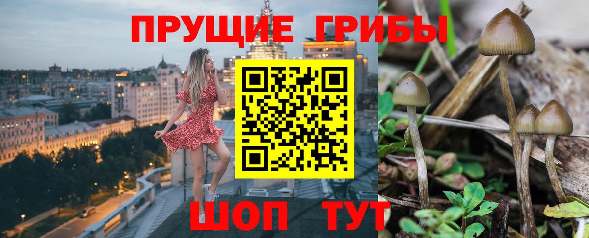 Галлюциногенные грибы Magic Shrooms Слободской